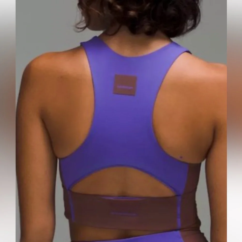 LULULEMON HIKE TO SWIN BRA SIZE 4 PURPLE AND BROWN COLOR NWT